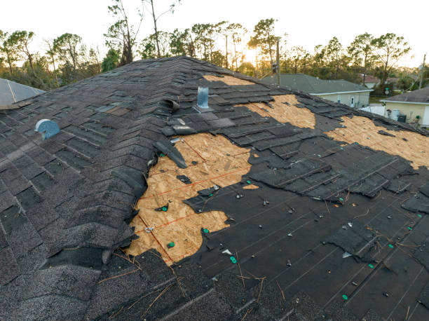Best Roof Insulation Installation  in Solvang, CA