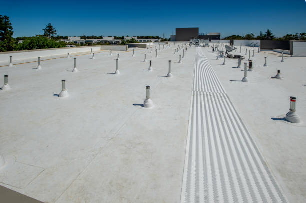 Best Roof Insulation Installation  in Solvang, CA